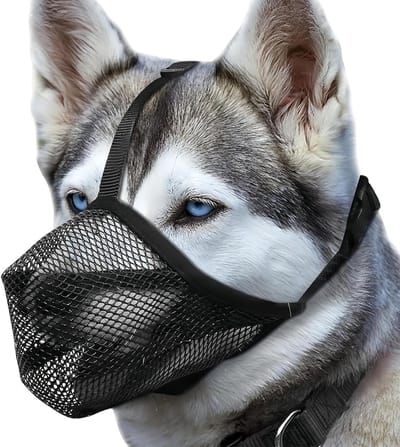 Ademend Hondenmuilkorf van Zacht Mesh - Verstelbare Mand voor Middelgrote en Grote Honden, Comfortabel en Veilig