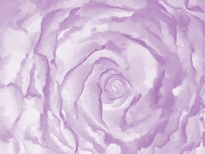 Fotobehang - roos (rosa).