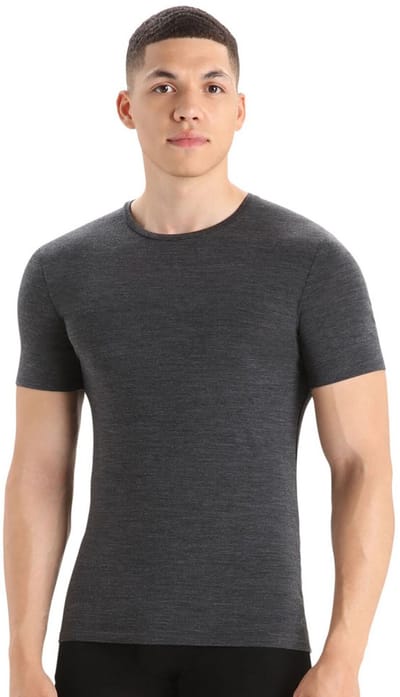 Icebreaker Merino 150 Anatomica Korte Mouwen Basislaag Grijs L Man