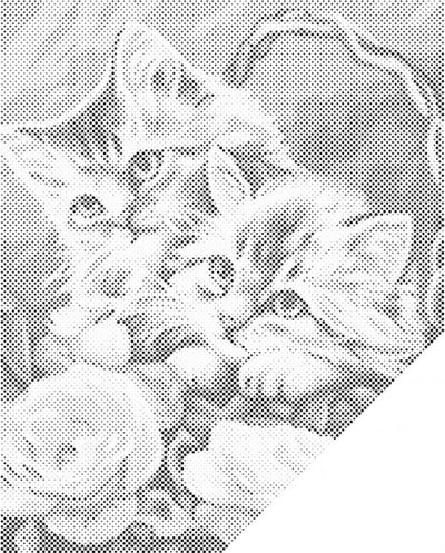 HappyDots DOT Painting Kittens in mand 30x40cm - Stippelschilderij