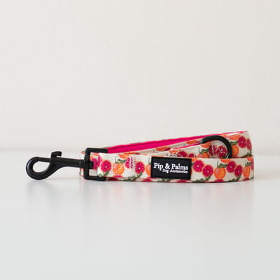 Pip & Palms - Hondenriem Tutti Frutti - 152cm lang - Roze - 2cm breed - Comfortabel & Stijlvol - Honden looplijn - Voor Wandelen en Training