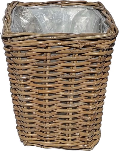 Rotan mand Turijn