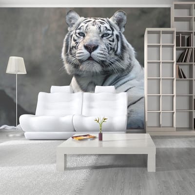 Fotobehang – Behangpapier - Fotobehang - Bengaalse tijger in dierentuin 200x154 - Artgeist