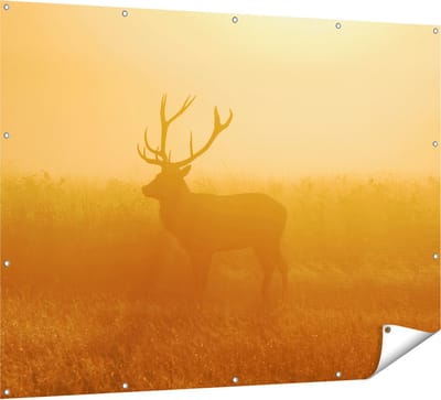 Gards Tuinposter Hert tijdens de Mist - 160x120 cm - Tuindoek - Tuindecoratie - Wanddecoratie buiten - Tuinschilderij