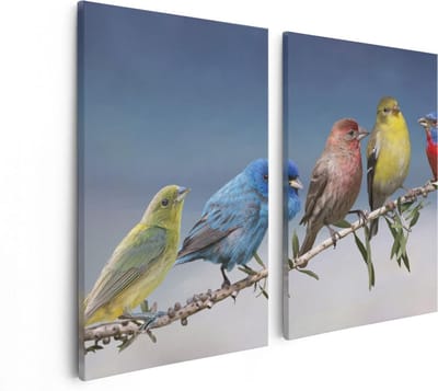 Artaza Canvas Schilderij Tweeluik Kleurrijke Zangvogels Op Een Tak - Kleur - 80x60 - Foto Op Canvas - Canvas Print
