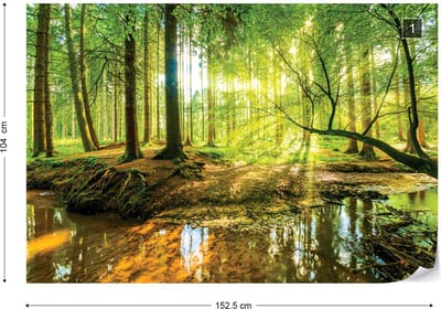 Fotobehang - Zonnig Bos met een Beek - Bomen - Natuur - Vliesbehang - 152,5 x 104 cm (1 behangvel)