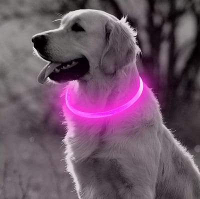 LED Halsband Hond – Lichtgevende Halsband Hond Roze – USB Oplaadbaar – 65 cm – Veiligheidsband