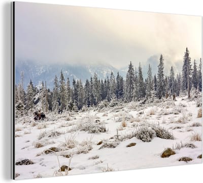 Aluminium schilderij 180x120 cm - Wanddecoratie metaal - De mist trekt op in de bossen van het Nationaal park Tatra in Polen - Metalen muurdecoratie woonkamer - Decoratie industrieel - Foto op dibond - Industriële accessoires slaapkamer