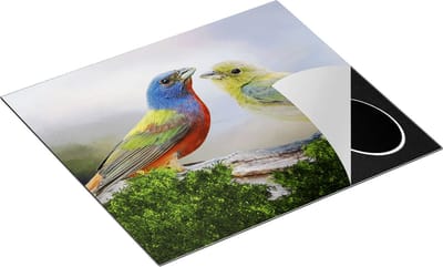 Chefcare Inductie Beschermer Getekende Gorzen Vogels - Kleur - Abstract - 60x50 cm - Afdekplaat Inductie - Kookplaat Beschermer - Inductie Mat