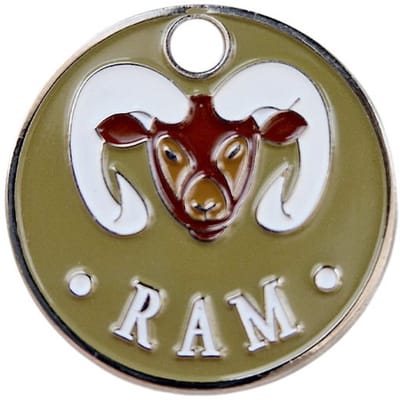 CombiCraft Winkelwagenmunt ram