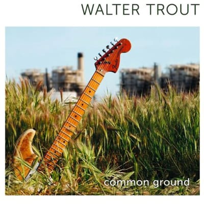 Common Ground - Walter Trout