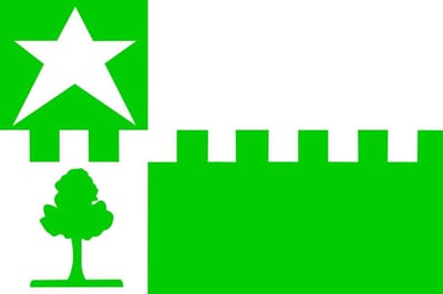 Vlag Stede Broec 30x45cm