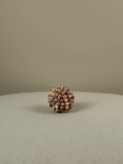 Blitzdeco - Decoratieve Schelpen Bal - Lynn - Natuurlijk Roze - Handgemaakt Uniek - Small