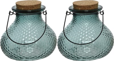 Decoris wespenvanger/wespenval - set 2x - glas - lichtblauw - D14 x H13 cm