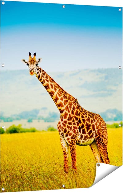 Gards Tuinposter Giraffe in het Veld - 90x120 cm - Tuindoek - Tuindecoratie - Wanddecoratie buiten - Tuinschilderij