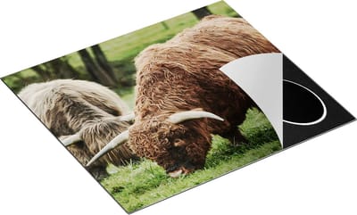 Chefcare Inductie Beschermer Twee Schotse Hooglanders Grazen Gras - 60x50 cm - Afdekplaat Inductie - Kookplaat Beschermer - Inductie Mat