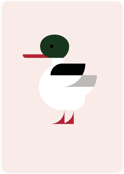 Postcards with Common Merganser - Eendje - Set of 4 postcards