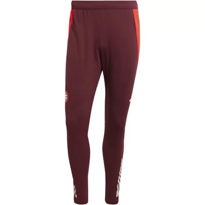 Trainingsbroek Bayern Munich 2024/25
