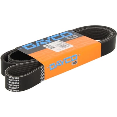 V-riem DAYCO 8PK1725HD
