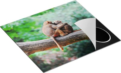 Chefcare Inductie Beschermer Twee Apen Vrienden op een Tak in een Boom - 60x50 cm - Afdekplaat Inductie - Kookplaat Beschermer - Inductie Mat