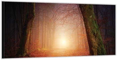 Dibond –Bospad in de Herfst– 200x100 Foto op Aluminium (Met Ophangsysteem)