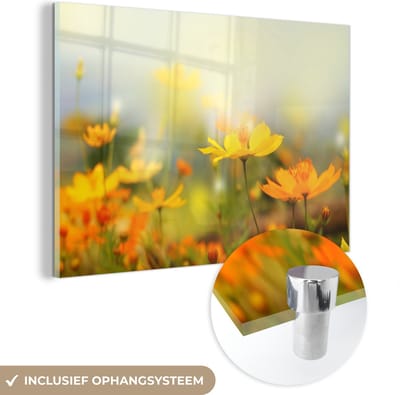 MuchoWow® Glasschilderij 120x80 cm - Schilderij acrylglas - Bloemen - Landschap - Geel - Foto op glas - Schilderijen