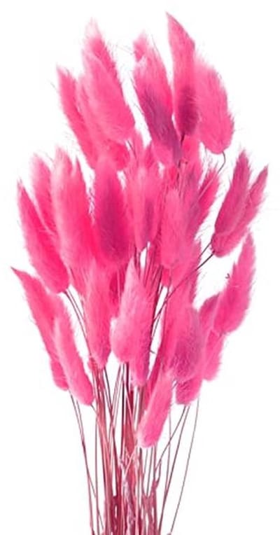 Gedroogde Pampasgras Boeket 50 Stuks - Natuurlijke Decoratie voor Boho Interieur