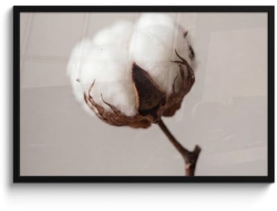 Poster in lijst - Fotolijst 90x60 cm - Posters - Katoenbol - Minimalistisch - Wit - Posterlijst zwart - Decoratie - Wanddecoratie woonkamer - Muurdecoratie slaapkamer