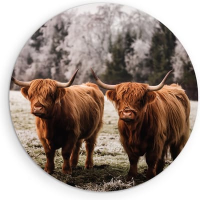 Saammp Muurcirkel Hout - Schotse Hooglander Koeien in het gras - Dieren - Natuur - Ø 90 - Wandcirkel - Wanddecoratie Cirkel - muurdecoratie Woonkamer - Slaapkamer decoratie - Rond Schilderij