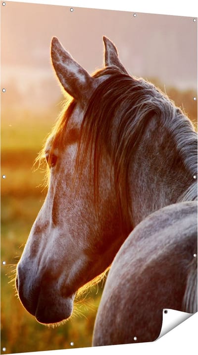 Gards Tuinposter Paard in de Weide tijdens Zonsondergang - 120x180 cm - Tuindoek - Tuindecoratie - Wanddecoratie buiten - Tuinschilderij