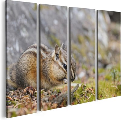 Artaza Canvas Schilderij Vierluik Eekhoorn op het Gras tussen de Bladeren - 80x60 - Foto Op Canvas - Canvas Print