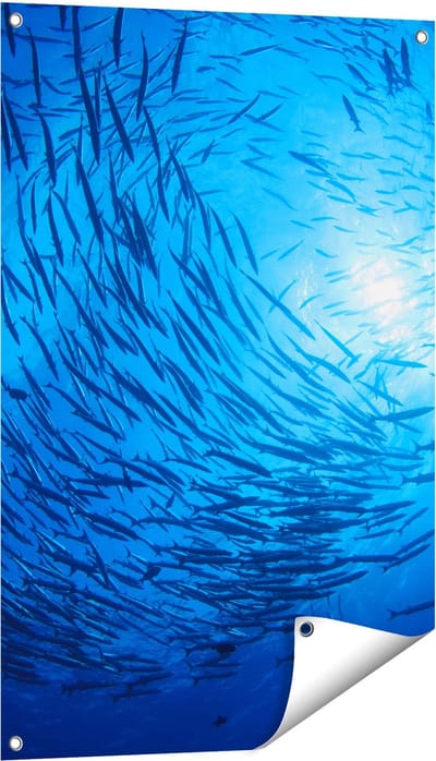Gards Tuinposter Zwerm Vissen in de Oceaan - 60x90 cm - Tuindoek - Tuindecoratie - Wanddecoratie buiten - Tuinschilderij