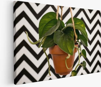 Saammp - Muurcirkel Hout - Vrouw - Panterprint - Abstract - Ø 80 - Wandcirkel - Wanddecoratie Cirkel - Muurdecoratie Woonkamer - Slaapkamer decoratie - Rond Schilderij