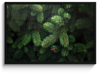 Poster in lijst - Fotolijst 90x60 cm - Posters - Sparrentakken - Knoppen - Naalden - Groen - Posterlijst zwart - Decoratie - Wanddecoratie woonkamer - Muurdecoratie slaapkamer
