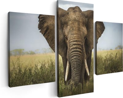 Artaza Canvas Schilderij Drieluik Olifant In Het Wild - Kleur - 90x60 - Foto Op Canvas - Canvas Print