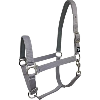 Nylon paardenhalster York Dora