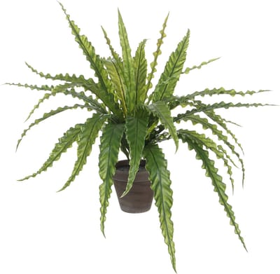 Mica Decorations - Asplenium Kunstplant in Bloempot Stan - H54 x Ø66 cm - Groen