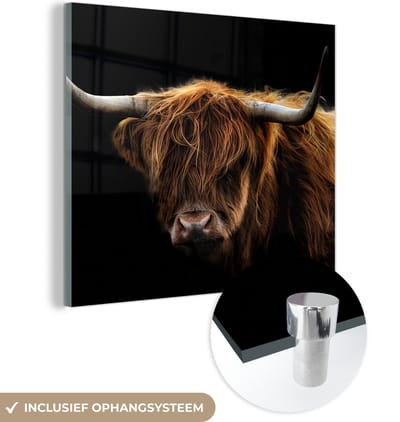 Glasschilderij Schotse Hooglander - Horens - Zwart - Dieren - Koe - Woonkamer - 50x50 cm - Foto op glas - Wanddecoratie glas - Kamer decoratie