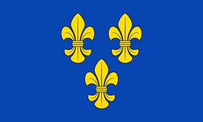 Vlag Wiesbaden 100x150cm
