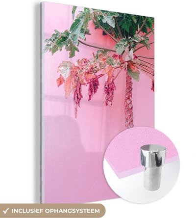 MuchoWow® Glasschilderij 30x40 cm - Schilderij acrylglas - Palmboom - Tropisch - Roze - Zomer - Foto op glas - Schilderijen