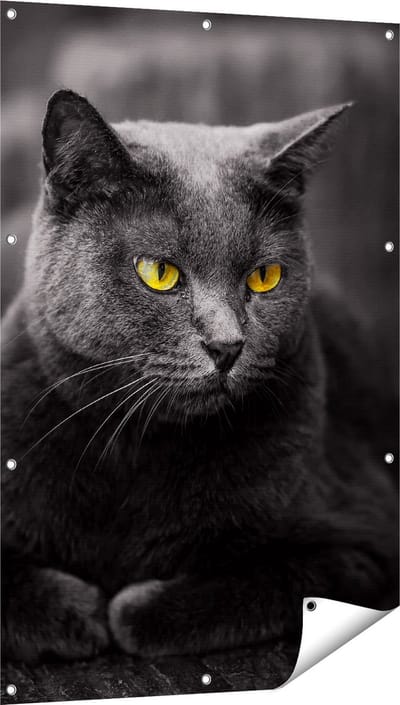 Gards Tuinposter Zwarte Kat met Gele Ogen - 80x120 cm - Tuindoek - Tuindecoratie - Wanddecoratie buiten - Tuinschilderij