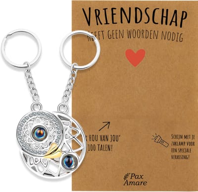 BFF Sleutelhanger voor 2 'Vriendschap heeft geen woorden nodig' - Rondjes ILY IN 100 TALEN - Sleutelhanger set op Cadeau Kaartje - Zilverkleurig - Vriendschap Symbool - Pax Amare