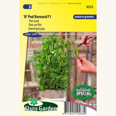 Pot erwt 'N' Pod Bernard F1 – Pisum sativum - Moestuin - bloeit in Juli / Augustus / September