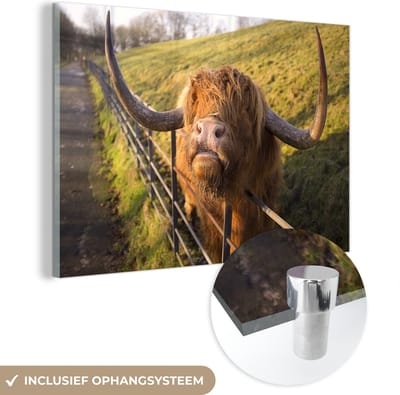 MuchoWow® Glasschilderij 120x80 cm - Schilderij acrylglas - Schotse Hooglander - Hek - Gras - Foto op glas - Schilderijen