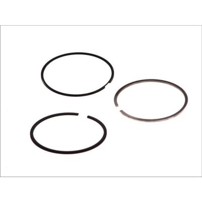 Zuigerveren set MAHLE 009 81 N0