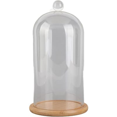 Couvercle de dôme de pot en verre transparent Couvercle de cloche de dôme en verre transparent décoratif Couvercle en verre de fleur fraîche
