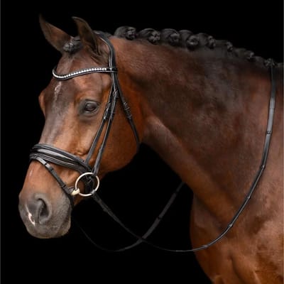 Gecombineerd hoofdstel met neusriem Imperial Riding Athena