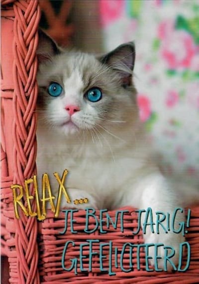 Relax, je bent jarig! Van harte gefeliciteerd! Een leuke kaart voor de echte kattenliefhebbers! Een leuke kaart om zo te geven of om bij een cadeau te voegen. Een dubbele wenskaart inclusief envelop en in folie verpakt.