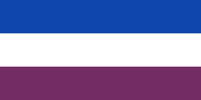 Vlag Montigny-le-Tilleul 200x300cm