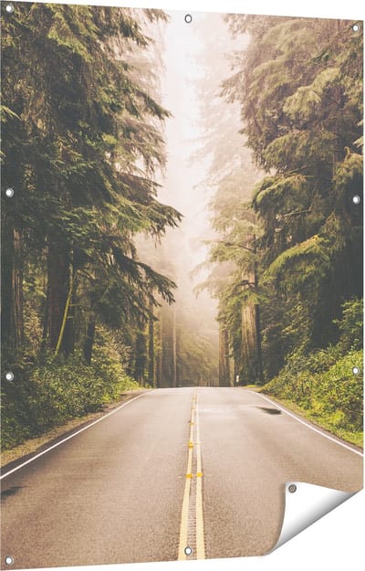 Gards Tuinposter Highway in Californië Omring met Bos - 90x120 cm - Tuindoek - Tuindecoratie - Wanddecoratie buiten - Tuinschilderij